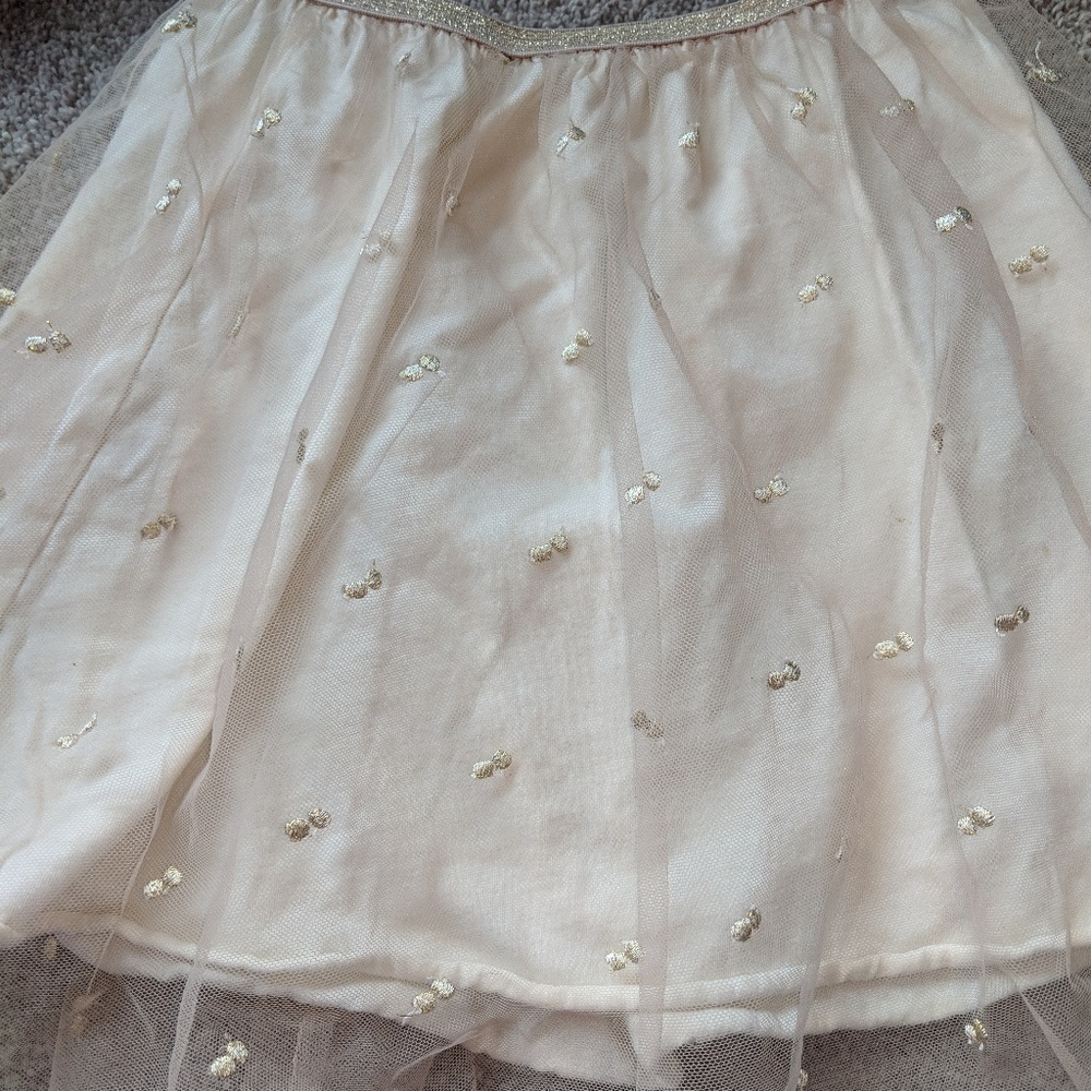 Zara Skirt
